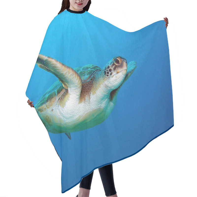 Personality  Sea Turtle Hair Cutting Cape