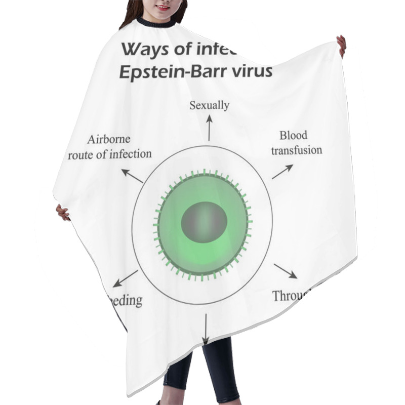 Personality  Epstein-Barr Virus. Methods Of Infection. Infographics. Vector Illustration Hair Cutting Cape