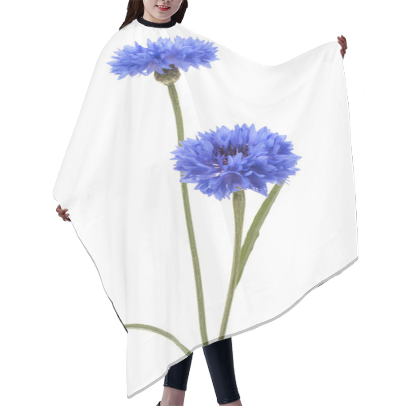 Personality  Blue Cornflowers Herb  Hair Cutting Cape