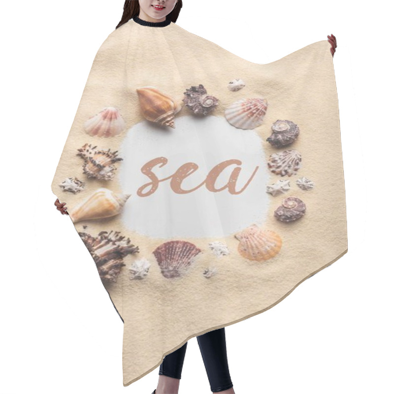 Personality  Frame Of Various Seashells On Sandy Beach With 