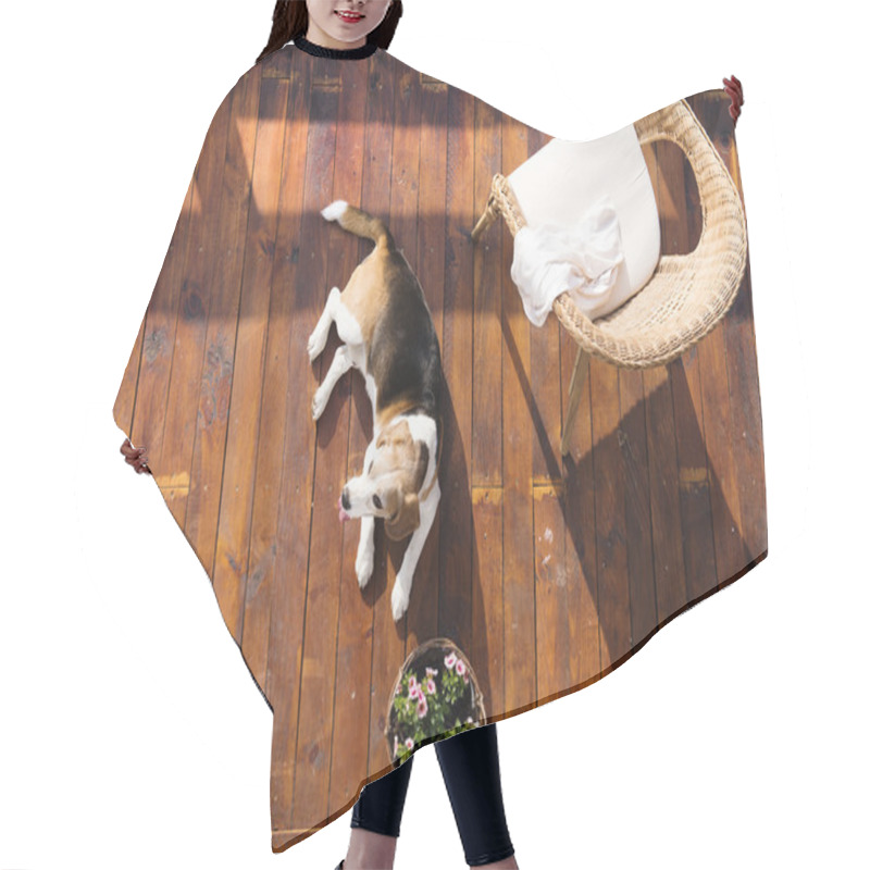 Personality  Dog On A Terrace Hair Cutting Cape