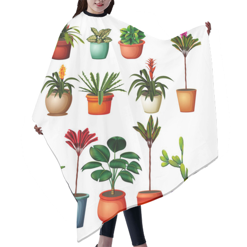 Personality  Collection Of The Botanical Plants In The Pots Hair Cutting Cape