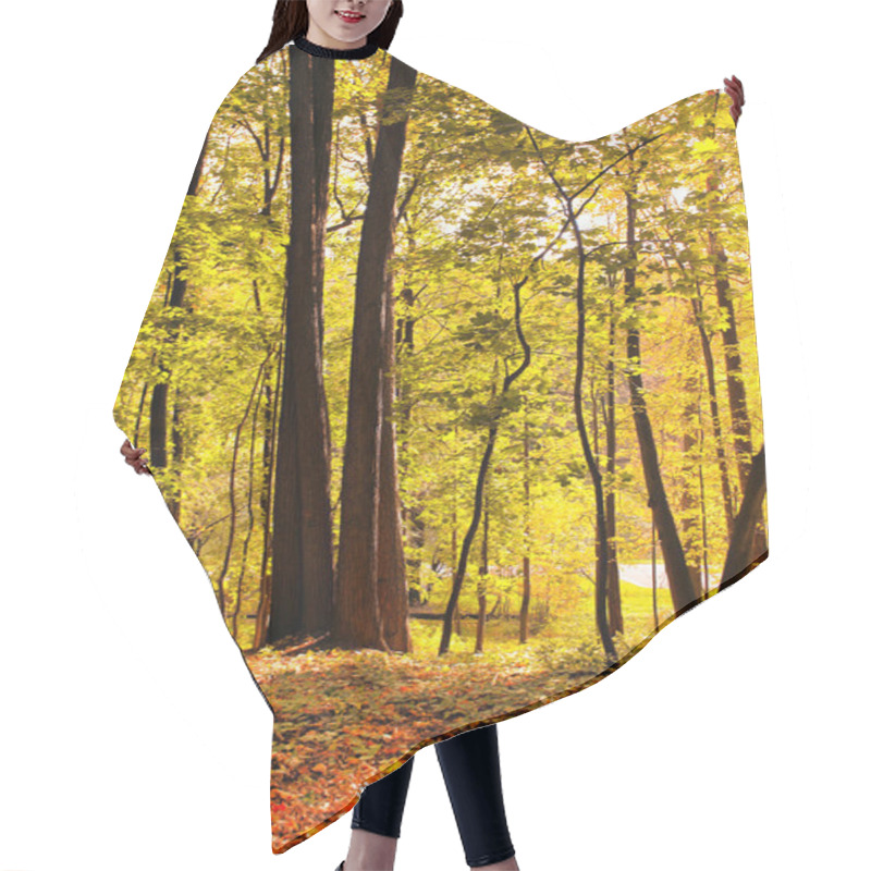 Personality  Beautiful Autumnal Forest Hair Cutting Cape