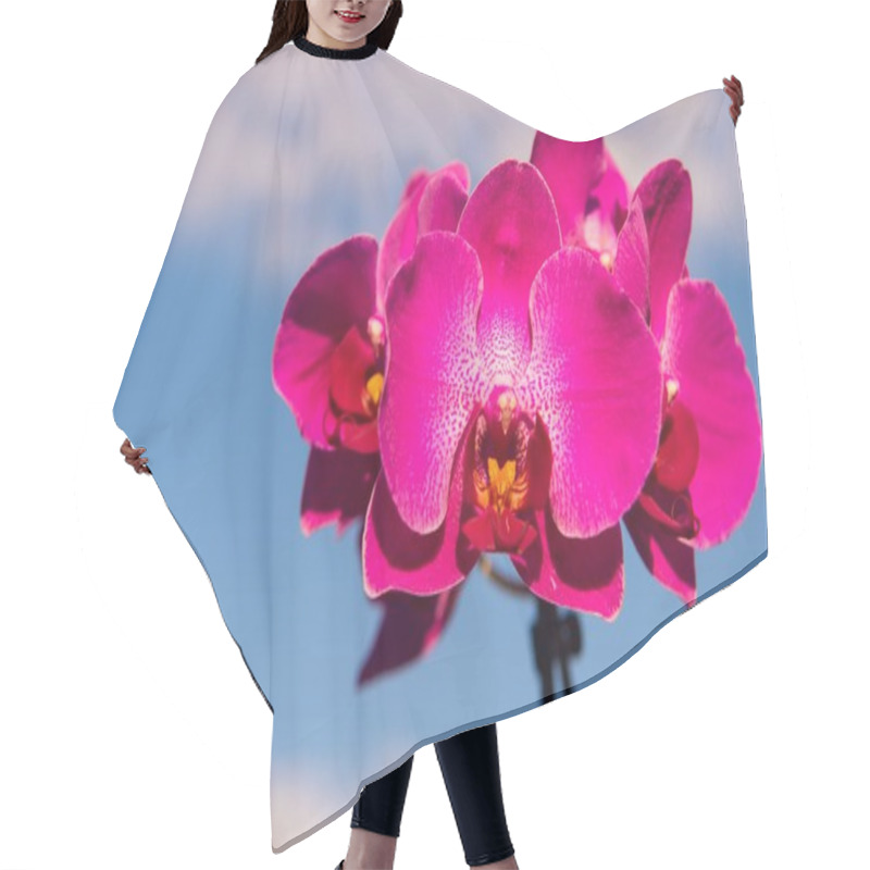 Personality  Orchid Pink Flower Hair Cutting Cape