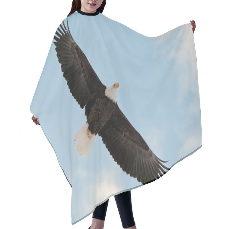 Personality  Flying Bald Eagle. Hair Cutting Cape