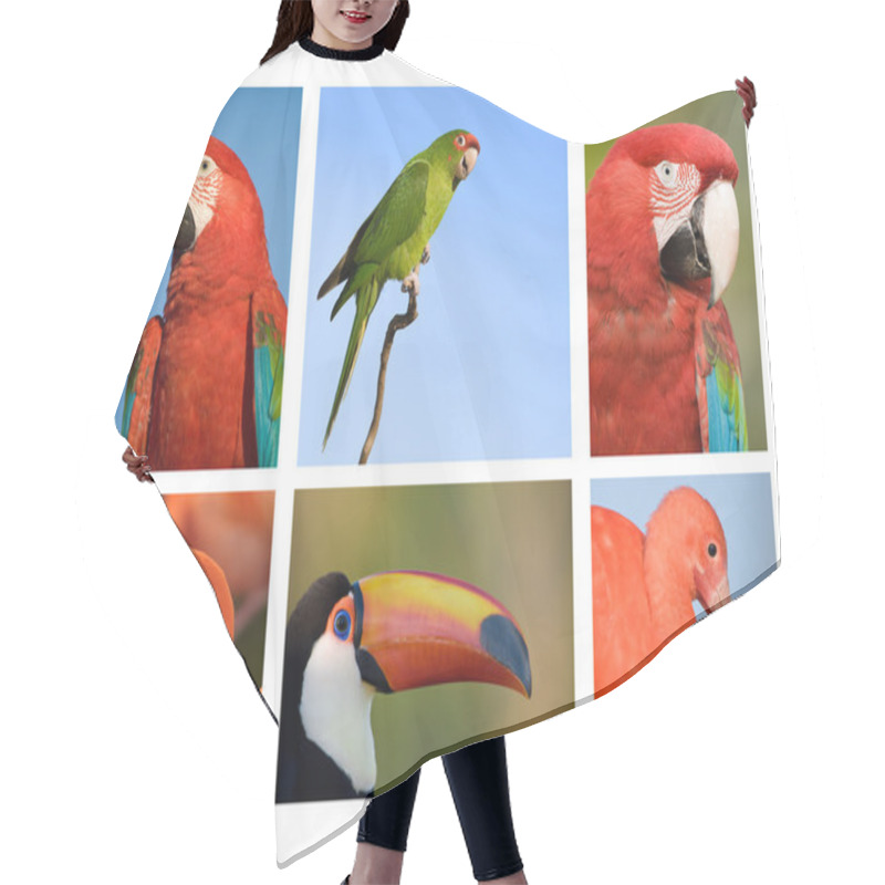 Personality  Different Tropical Birds Collection 1. Hair Cutting Cape