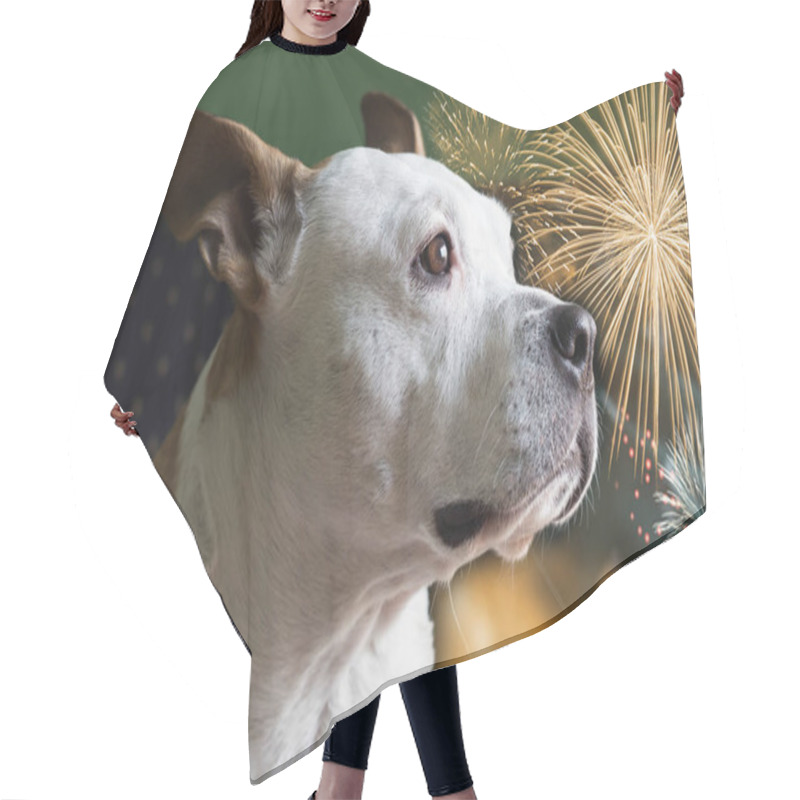 Personality  Dog Afraid Of Fireworks. Please Don't Throw Firecrackers I'm Afraid Hair Cutting Cape