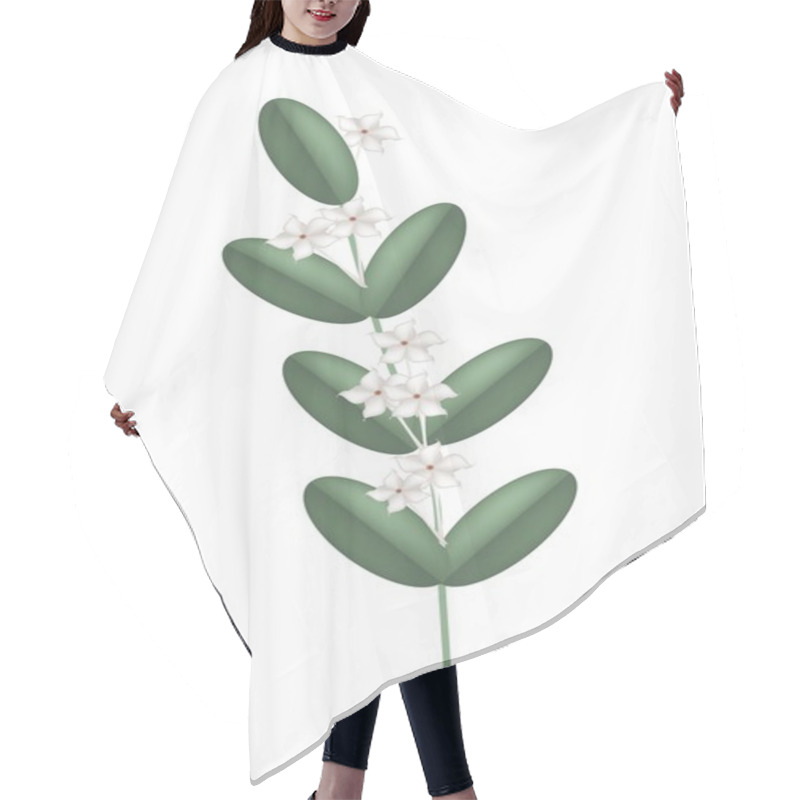 Personality  White Madagascar Jasmine Flowers On White Background Hair Cutting Cape