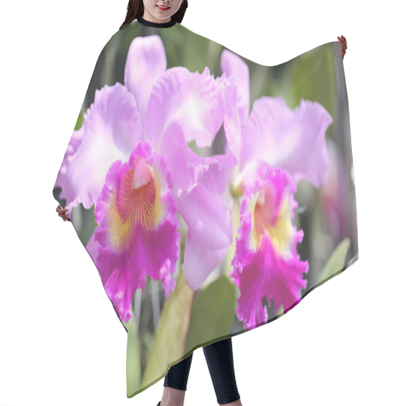 Personality  Pink Of Wild Orchids. Hair Cutting Cape