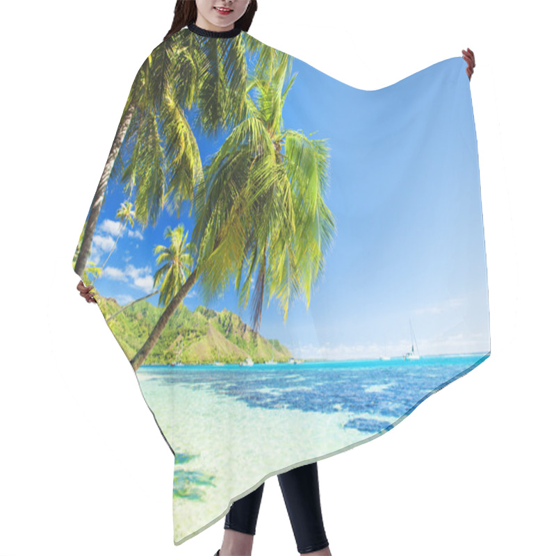 Personality  Palm Tree Hanging Over Stunning Blue Lagoon Hair Cutting Cape