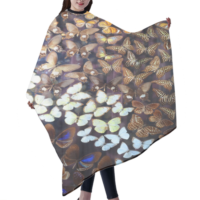 Personality  Butterfly Specimen Hair Cutting Cape