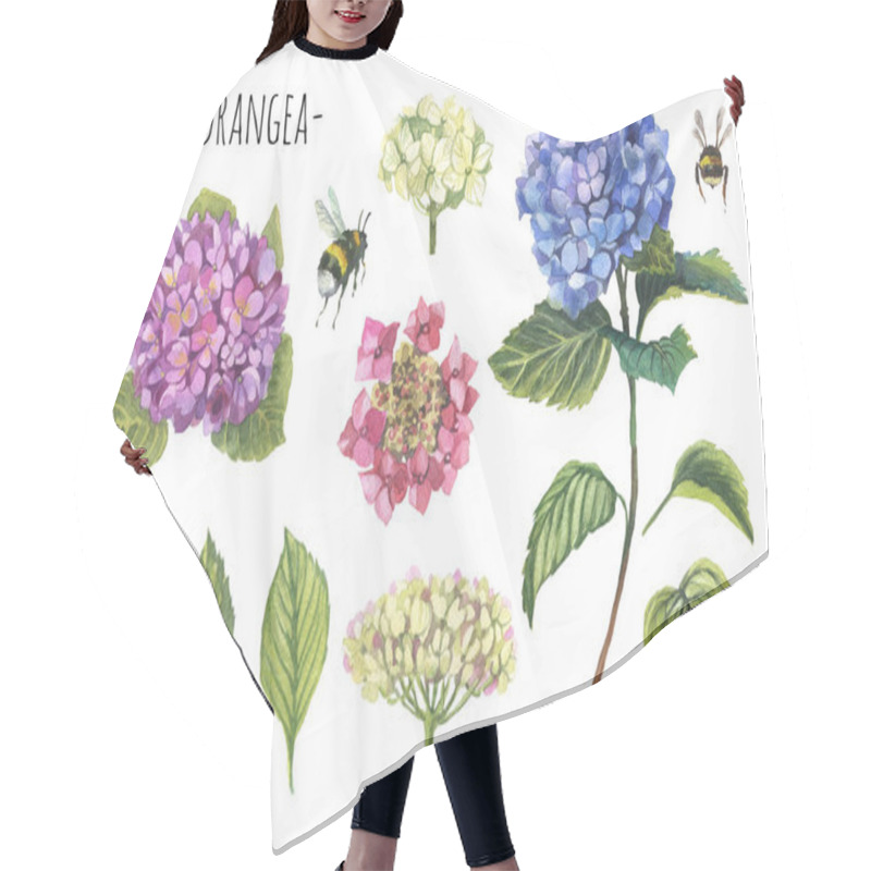 Personality  Watercolor White, Green,pink And Blue Hydrangea Set. Hand Painted Flowers With Leaves And Branch Isolated On White Background. Hair Cutting Cape