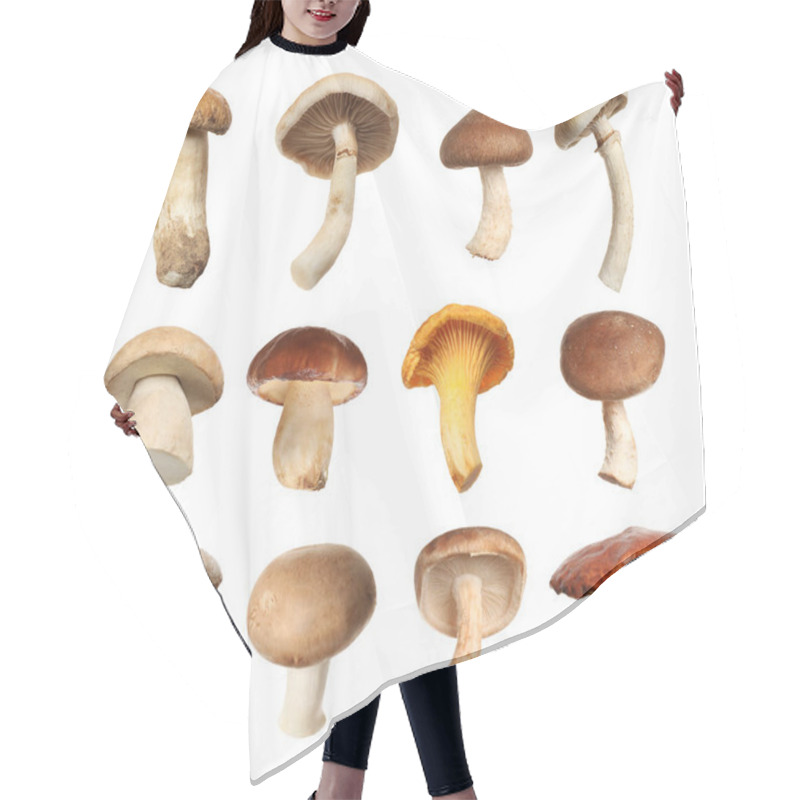 Personality  Set Of Different Fresh Mushrooms On White Background Hair Cutting Cape