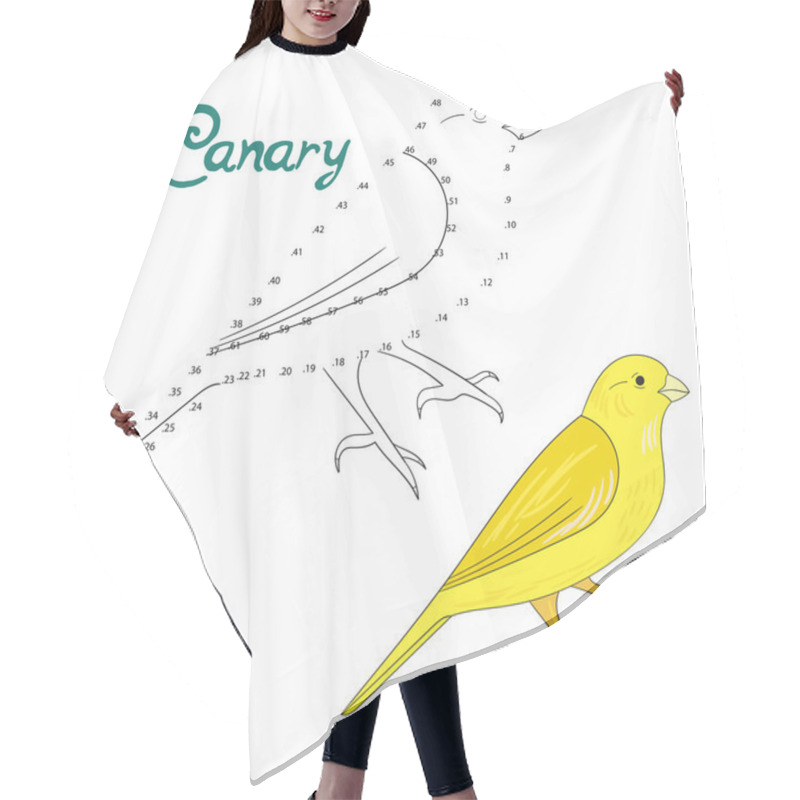 Personality  Educational Game Connect Dots To Draw Canary Bird Hair Cutting Cape