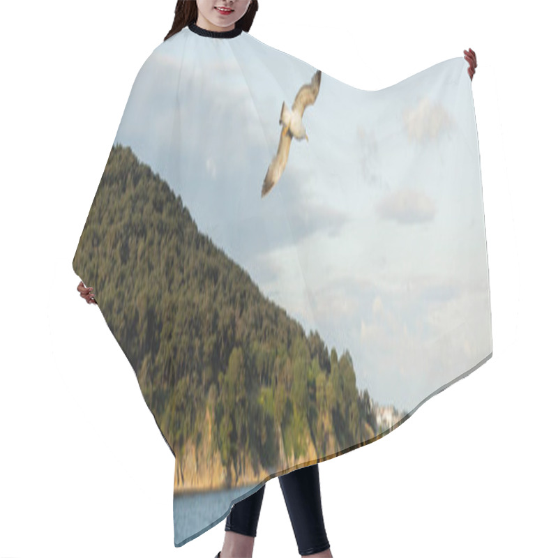 Personality  Gull Flying Above Sea With Coastline At Background In Turkey, Banner  Hair Cutting Cape