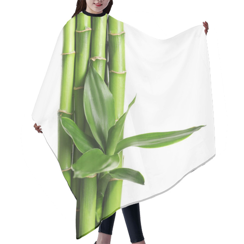 Personality  Green Bamboo Stems With Leaves On White Background Hair Cutting Cape