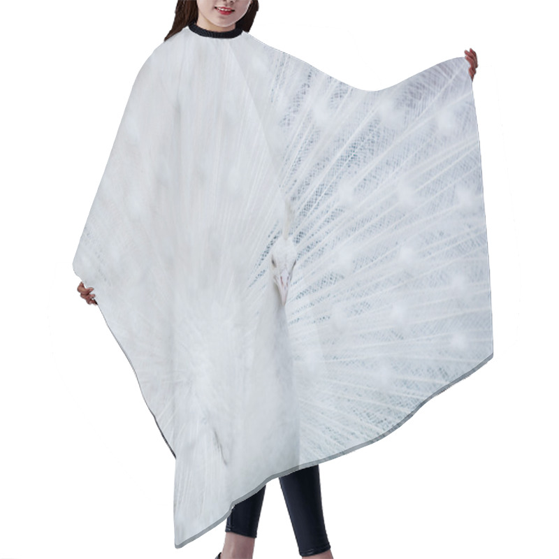 Personality  White Albino Peacock Hair Cutting Cape