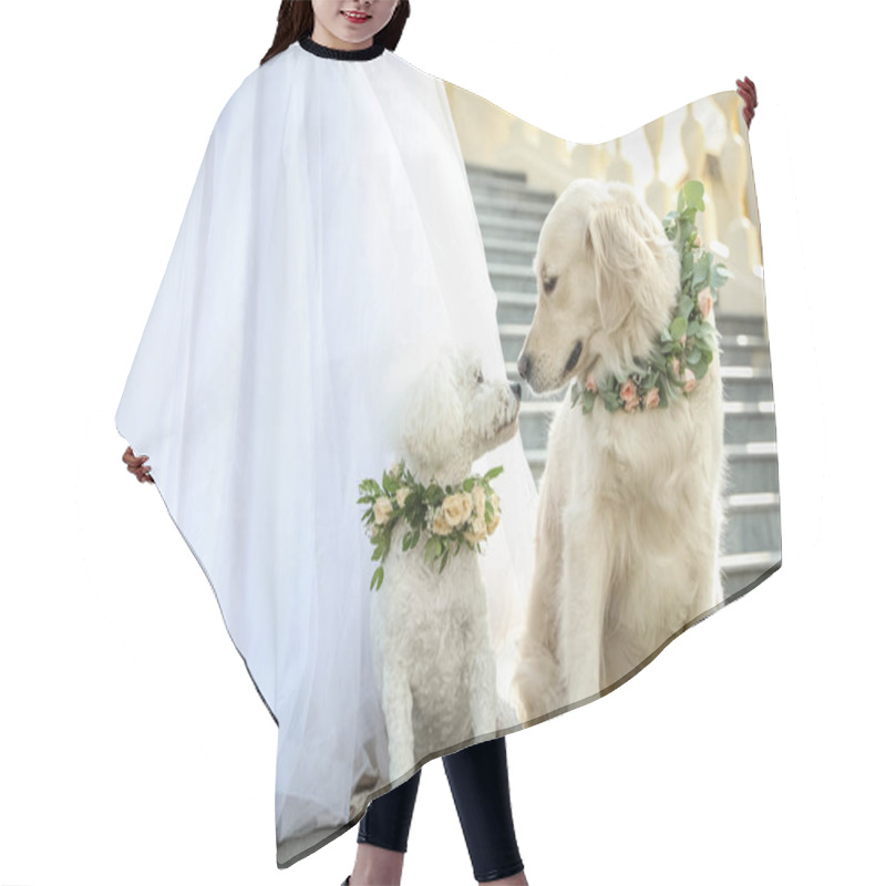 Personality  Bride And Adorable Dogs Wearing Wreathes Made Of Beautiful Flowers Outdoors, Closeup Hair Cutting Cape