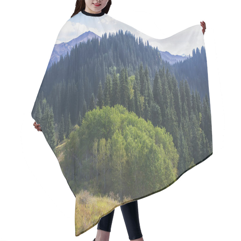 Personality  Beautiful Landscape With Mountains And Coniferous Forest Hair Cutting Cape