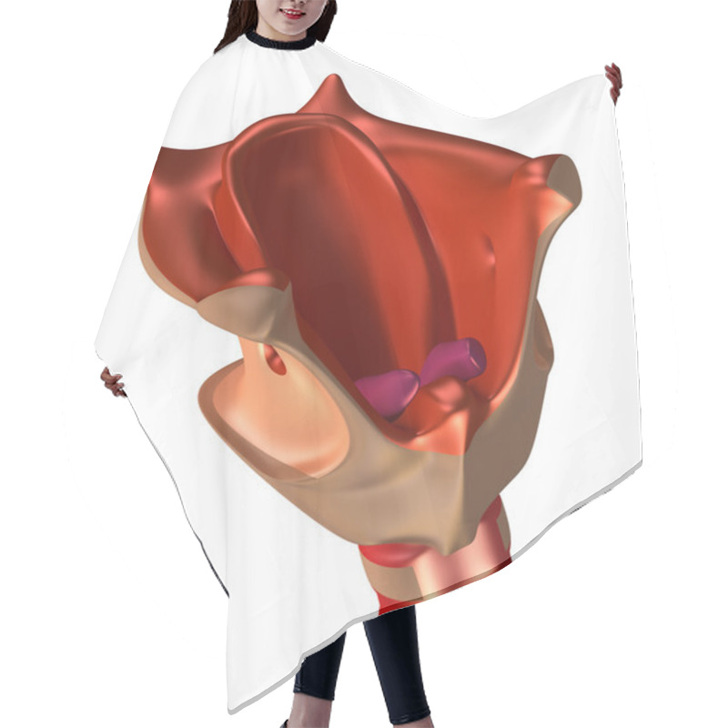 Personality  Larynx With Trachea Hair Cutting Cape