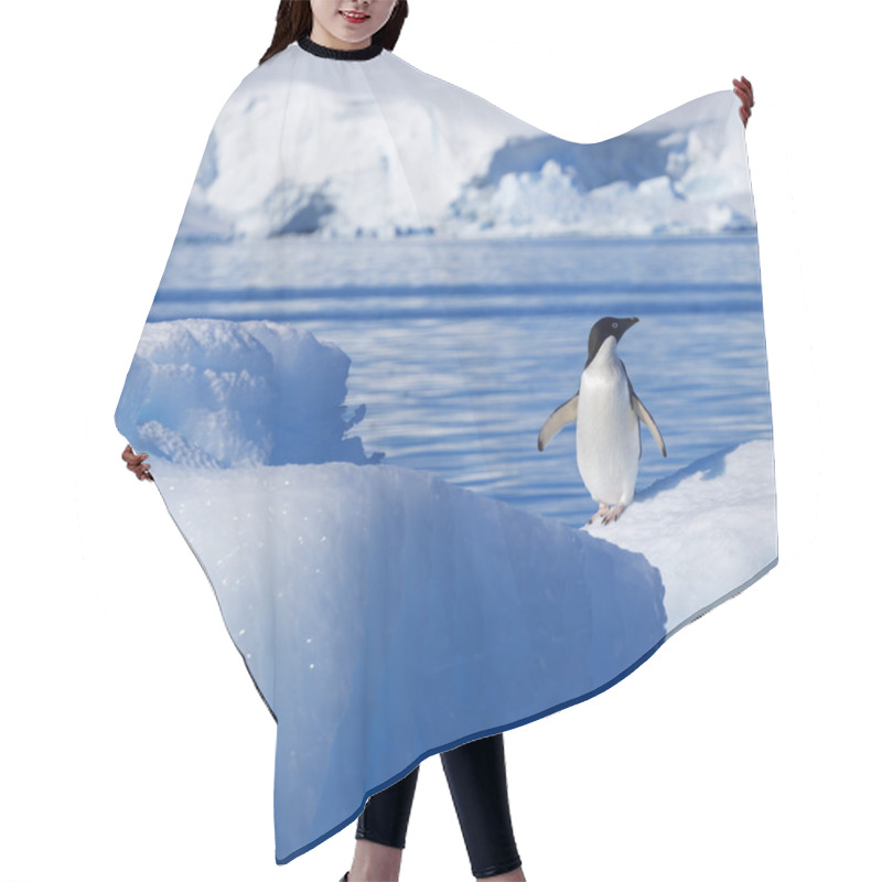 Personality  Nature And Landscapes Of Greenland With Penguin Hair Cutting Cape