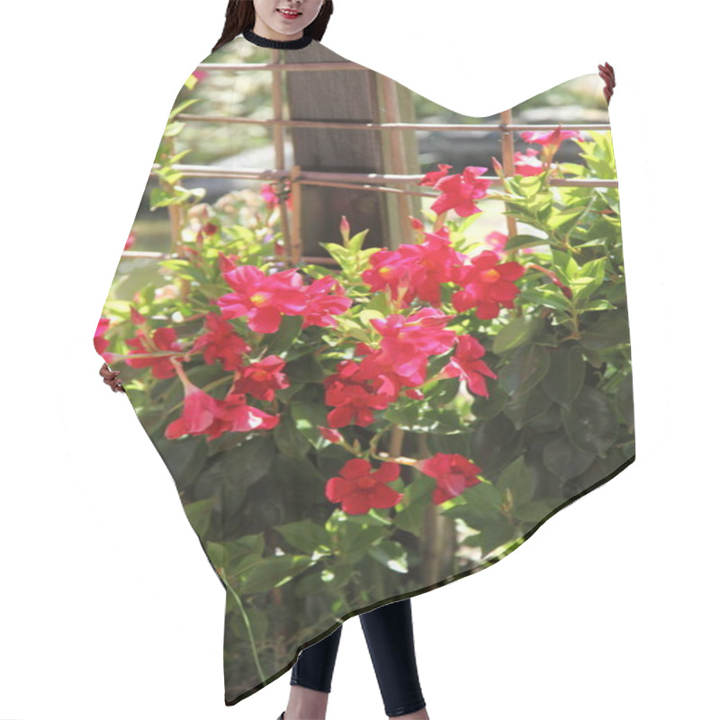 Personality  Beautiful Red Summer Flowers Hair Cutting Cape