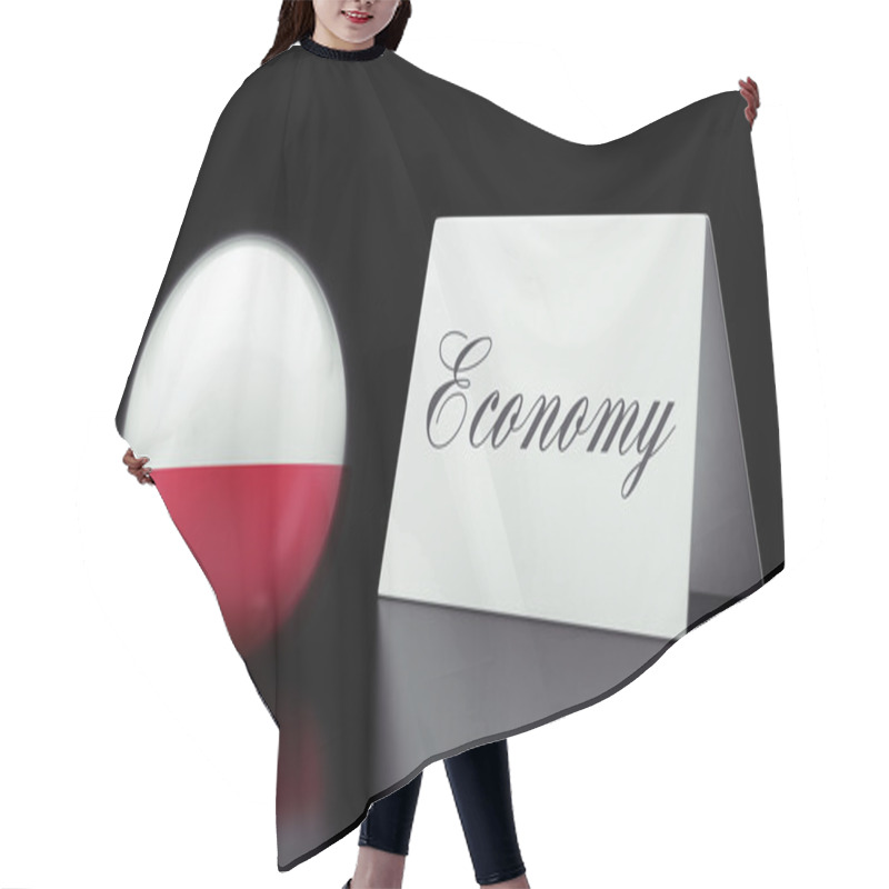 Personality  Poland Economy Concept Hair Cutting Cape