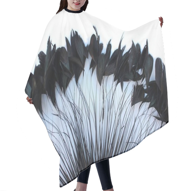 Personality  Frame Of Black Feathers On A White Background. Emo Style Frame Made Of Boa (feather Scarf) Isolated On White. Exotic Soft Beautiful Black Feather. Feathers Laid Out Around. A Fan In Dark Colors. Hair Cutting Cape