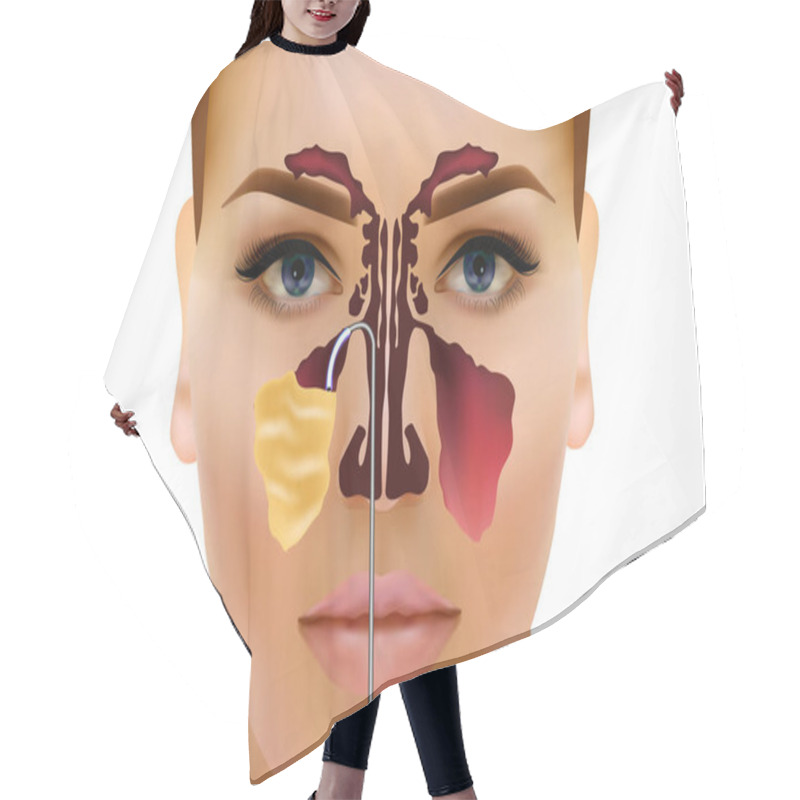 Personality  Sinusitis. Healthy And Inflammation Nasal Sinus Vector Illustration Hair Cutting Cape