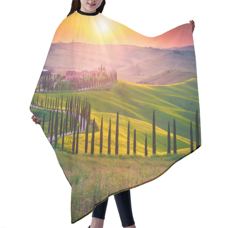 Personality  Summer Tuscany Landscape With Curved Road And Cypresses Trees, Italy Hair Cutting Cape