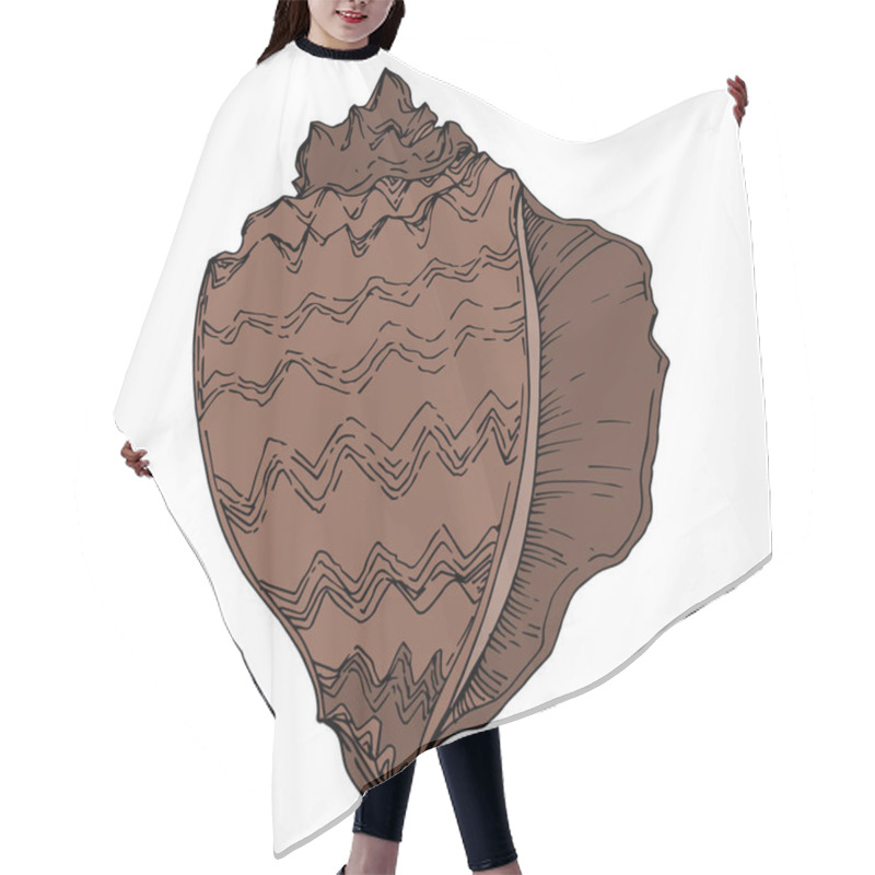 Personality  Vector Summer Beach Seashell Tropical Elements. Black And White  Hair Cutting Cape