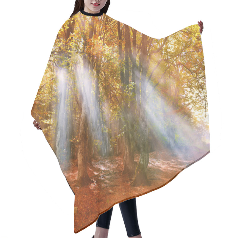 Personality  Fall In Forest And Sunrays Through Fog Hair Cutting Cape