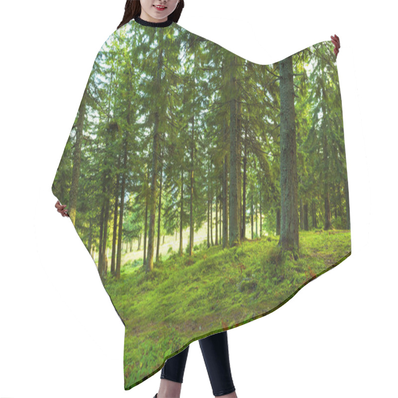 Personality  Sunlight In The Green Forest, Spring Time Hair Cutting Cape