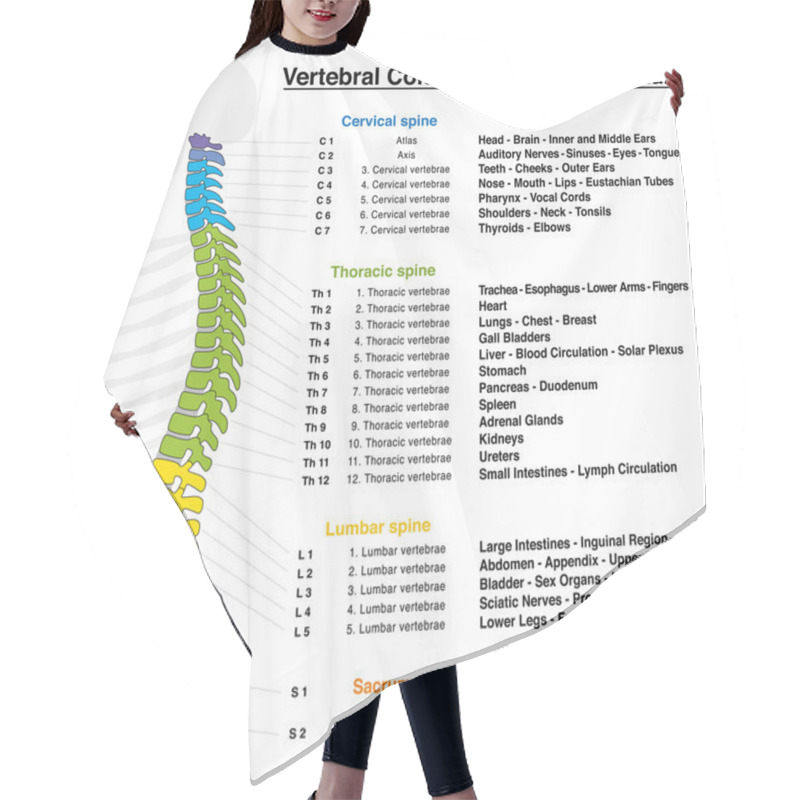 Personality  Vertebral Column Reflexology Chart Hair Cutting Cape