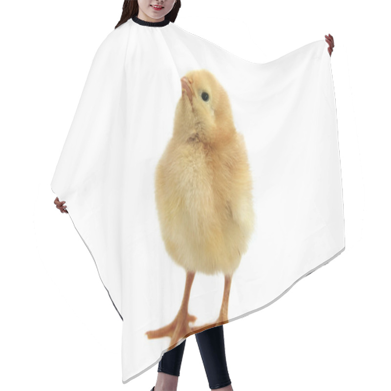 Personality  Yellow Chicken Hair Cutting Cape