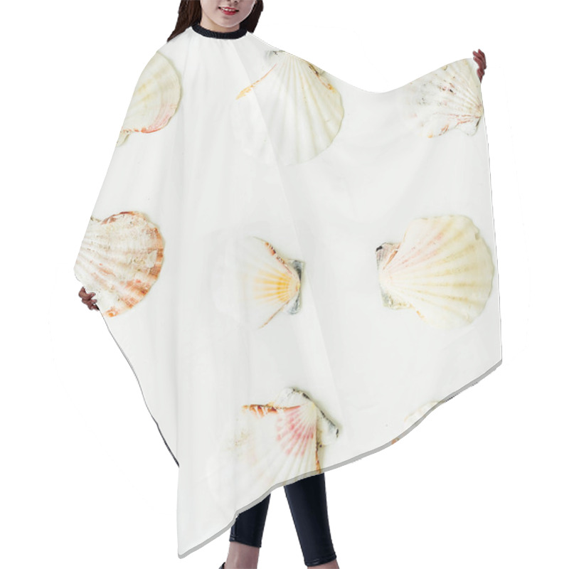 Personality  Set Of Various Sea Shells Hair Cutting Cape