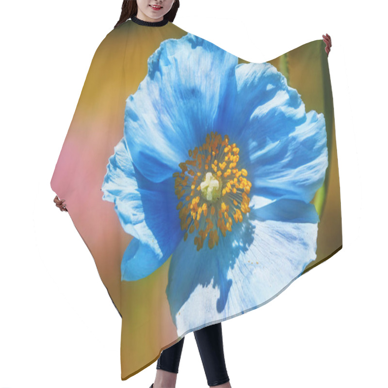 Personality  Himalayan Blue Tibet Poppy Hair Cutting Cape