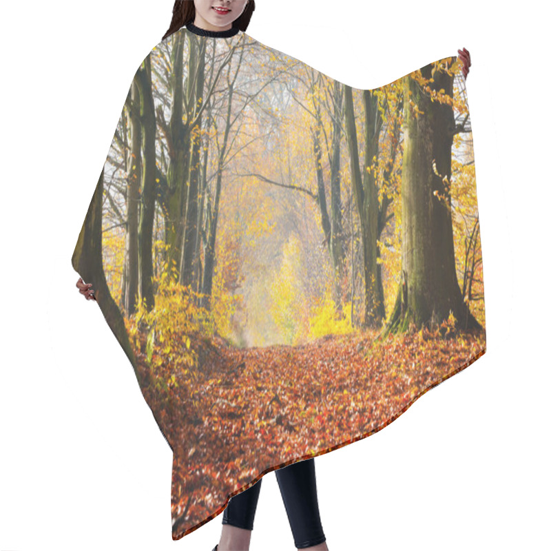 Personality  Autumn, Fall Forest. Hair Cutting Cape