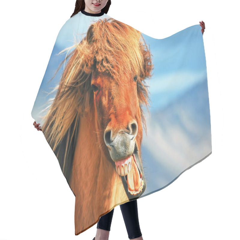 Personality  Icelandic Horse Hair Cutting Cape