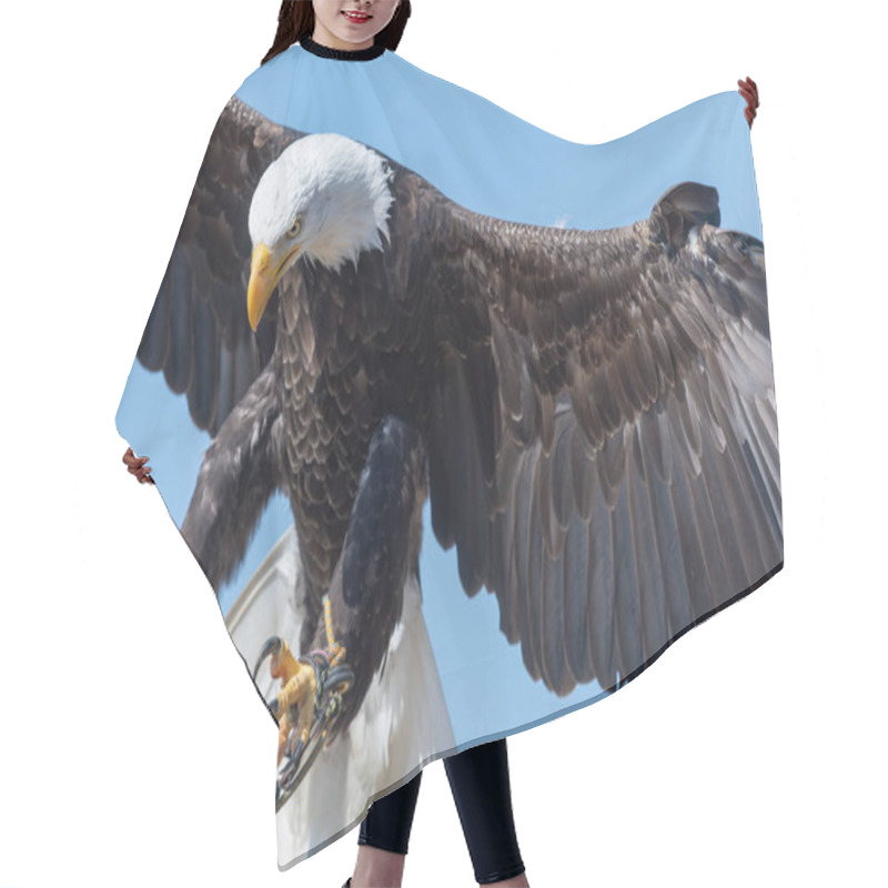 Personality  Bald Eagle (haliaeetus Leucophalus) Hair Cutting Cape