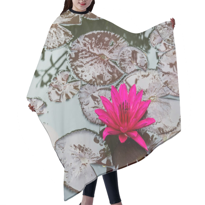 Personality  This Beautiful Waterlily Or Lotus Flower Is Complimented By The Rich Colors. Saturated Colors And Vibrant Detail Make This An Almost Surreal Image. Hair Cutting Cape