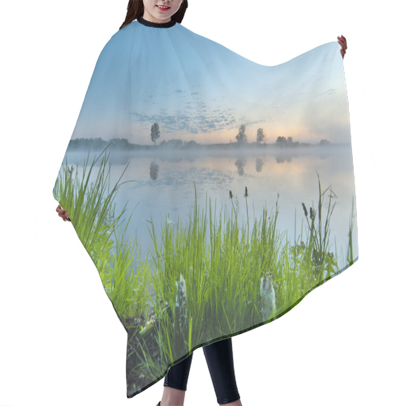 Personality  Early Summer Morning Hair Cutting Cape