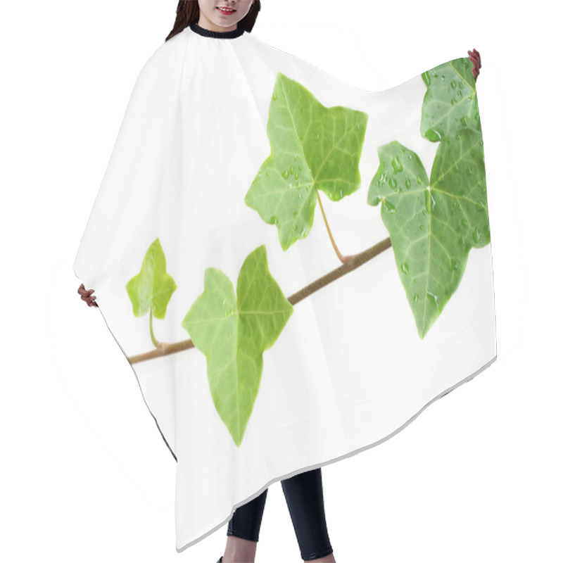 Personality  Isolated Ivy Vine Hair Cutting Cape