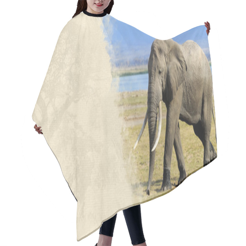 Personality  Elephant On Textured Paper Hair Cutting Cape