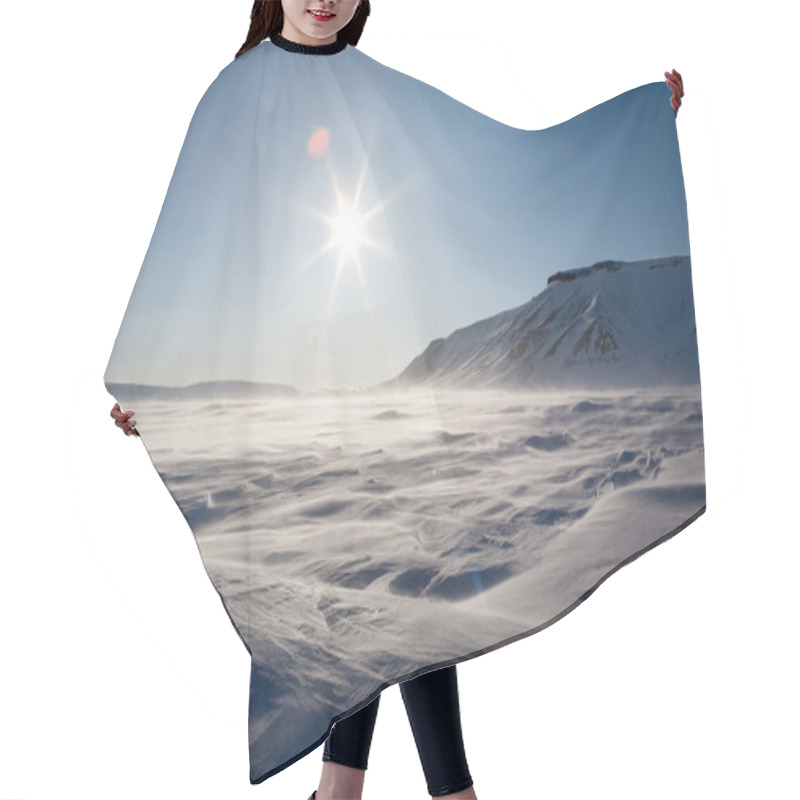 Personality  Frozen Arctic Landscape Hair Cutting Cape