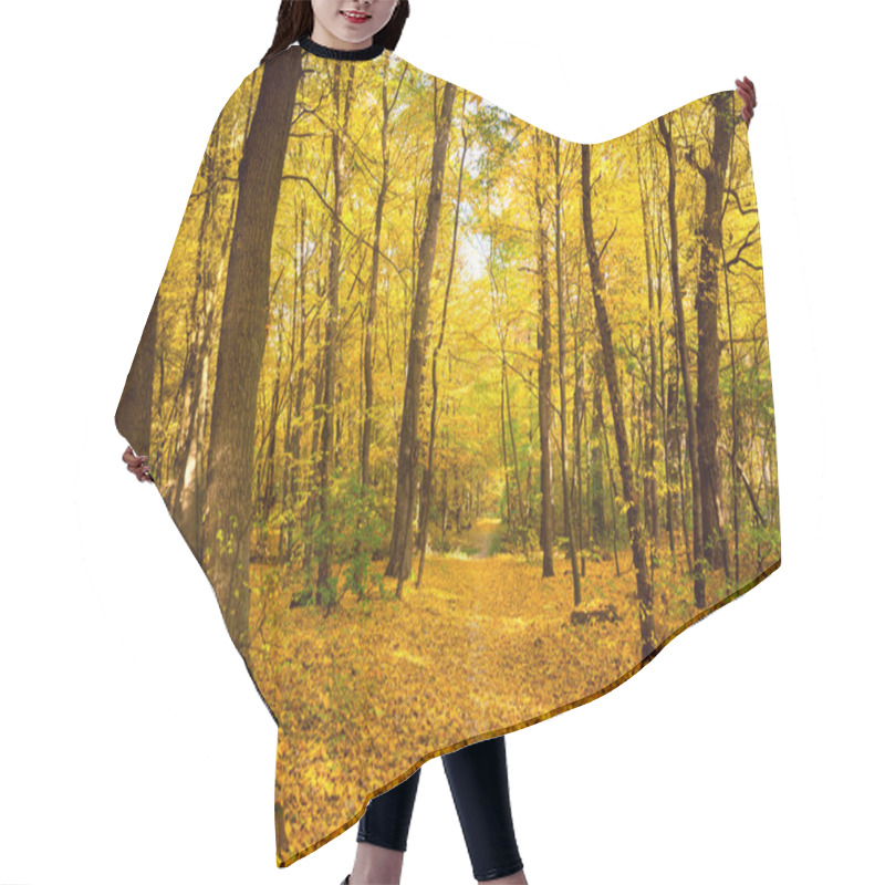 Personality  Gold Autumn Landscape With Footpath -  Beautiful Trees, Fall Sea Hair Cutting Cape