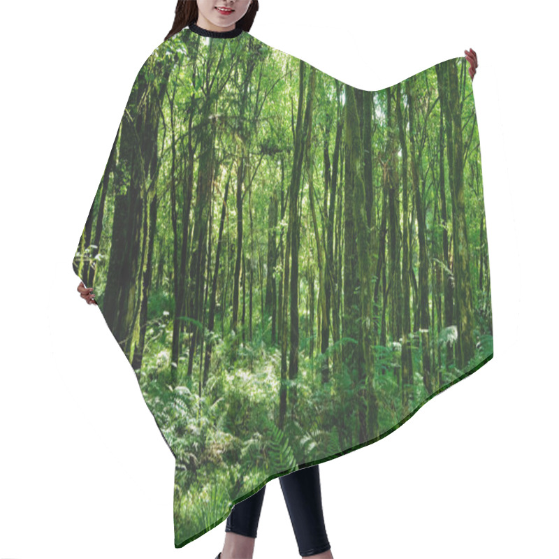 Personality  Rainforest Hair Cutting Cape