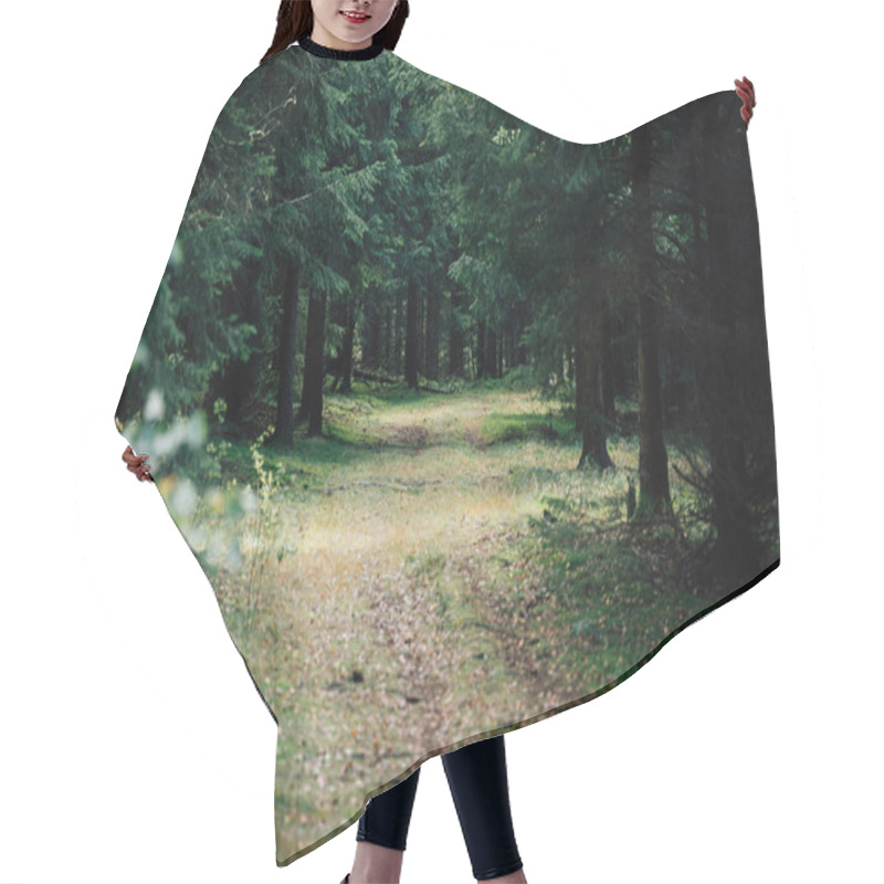 Personality  Forest Roads Lead Through A Dark Spruce Forest Hair Cutting Cape