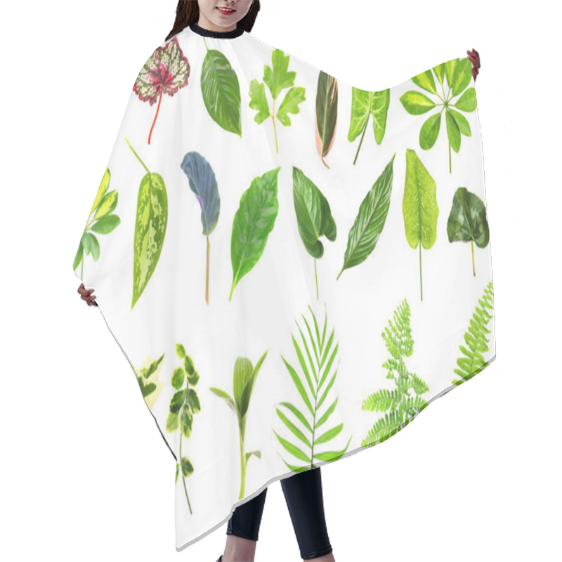 Personality  Different Houseplants Leaves Hair Cutting Cape