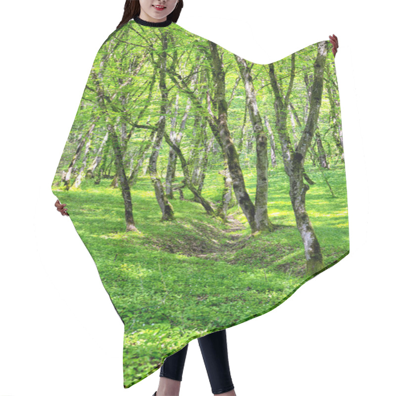 Personality  Forest In Spring Hair Cutting Cape